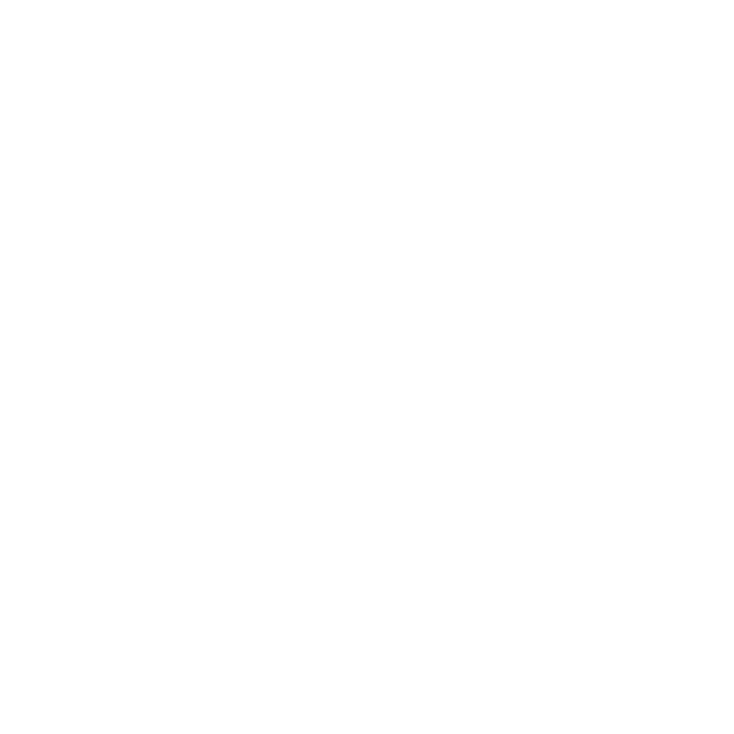 BVG Logo