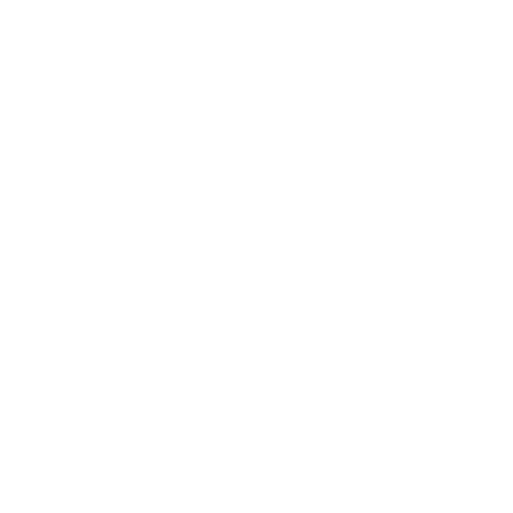 bdr logo 